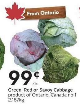 Green, Red or Savoy Cabbage