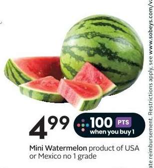 Mini Watermelon