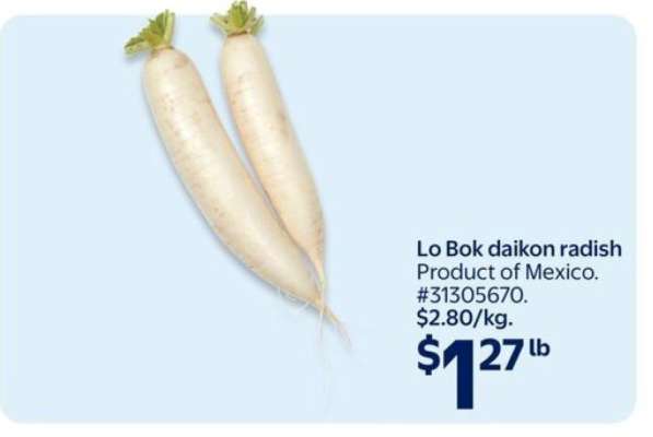 Lo Bok Daikon Radish