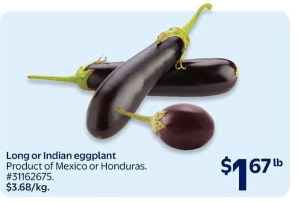 Long or Indian Eggplant