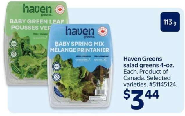 Haven Greens salad greens