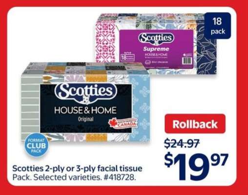 Scotties Facial Tissue Pack