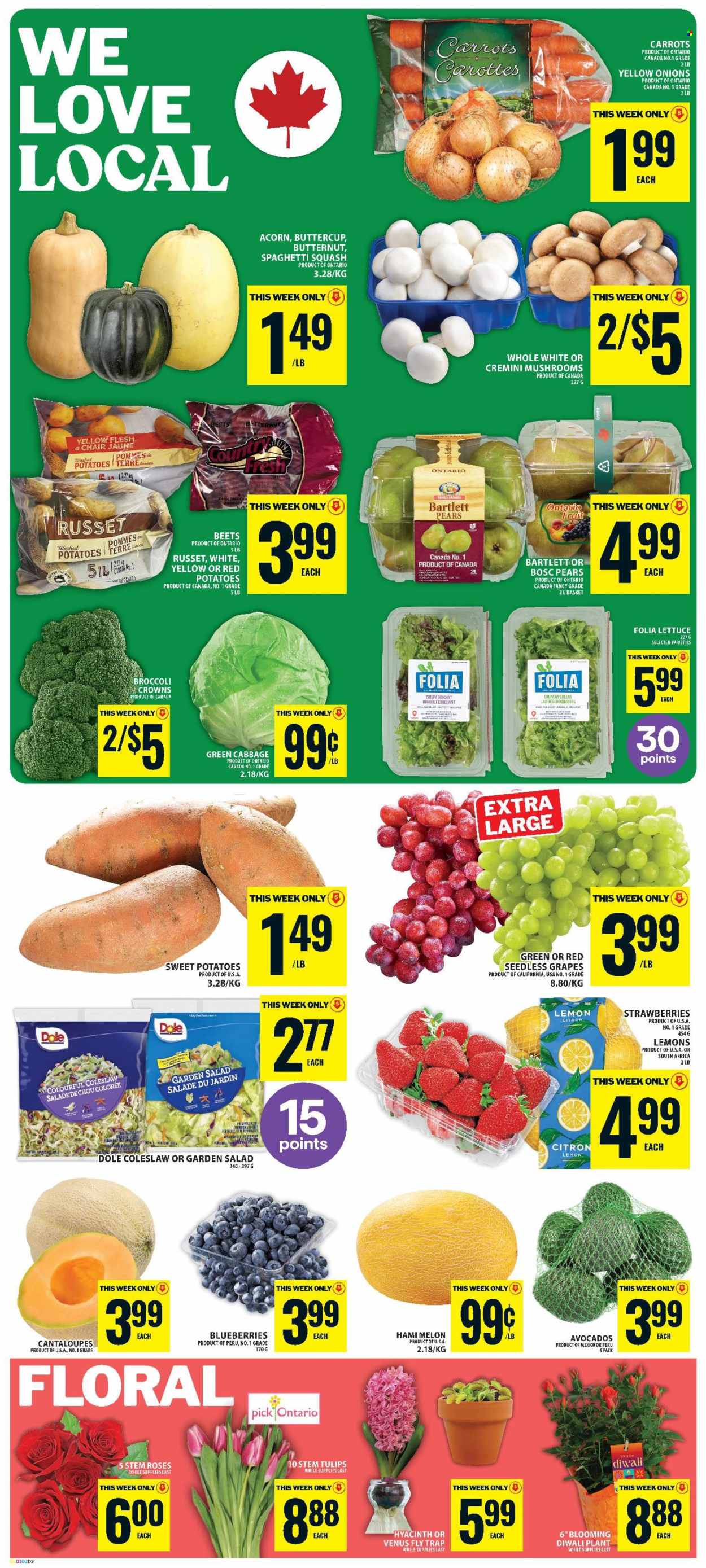 Food Basics flyer  - October 22, 2026 - October 28, 2026. Page 4
