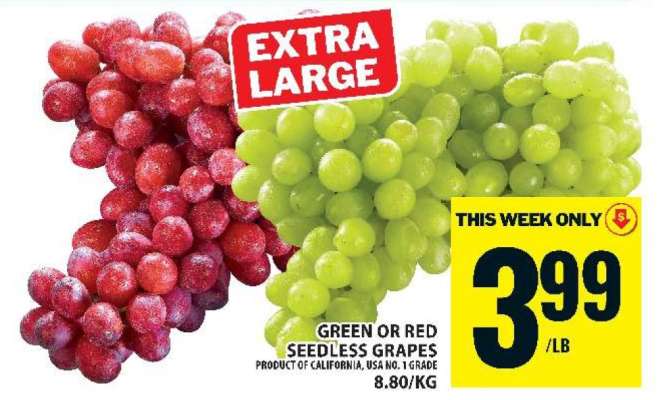 GREEN or RED SEEDLESS GRAPES