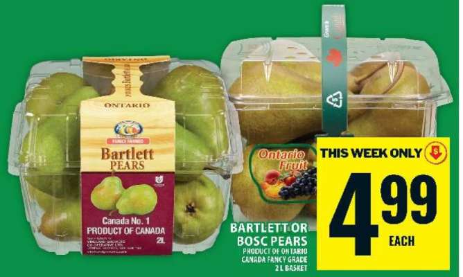 BARTLETT OR BOSC PEARS