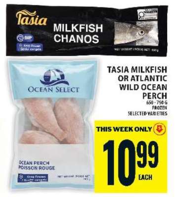 Tasia Milkfish or Atlantic Wild Ocean Perch