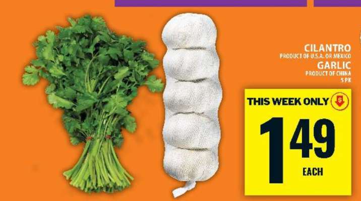 Cilantro or Garlic