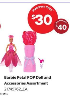 Barbie Petal POP Doll and Accessories Assortment